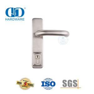 Embellecedor de palanca de escudo de cerradura de puerta con manija empotrada de acero inoxidable-DDPD015-SSS