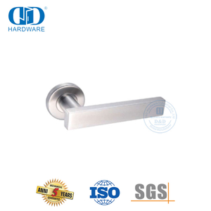 Tipos de manija de puerta de acero inoxidable con roseta redonda para casa-DDTH039-SSS