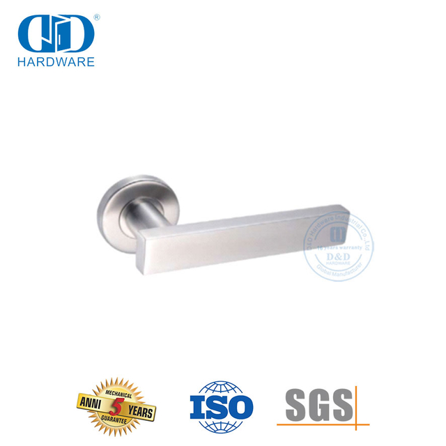 Tipos de manija de puerta de acero inoxidable con roseta redonda para casa-DDTH039-SSS