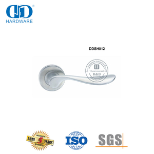 Manija de palanca sólida de acero inoxidable para puerta de entrada delantera europea-DDSH012-SSS