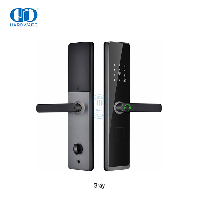 Cerradura de manija de puerta biométrica Digital con código de contraseña inteligente sin llave electrónica con llave-DDDL008