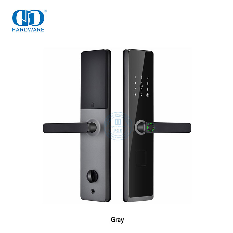 Cerradura de manija de puerta biométrica Digital con código de contraseña inteligente sin llave electrónica con llave-DDDL008