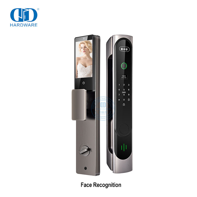 Entrada sin llave Desbloqueo Antirrobo Fabricación Oficina Cerradura inteligente Tarjeta IC Escaneo Identificación de vidrio digital Reconocimiento facial 3D Cerradura de puerta inteligente-DDEL026