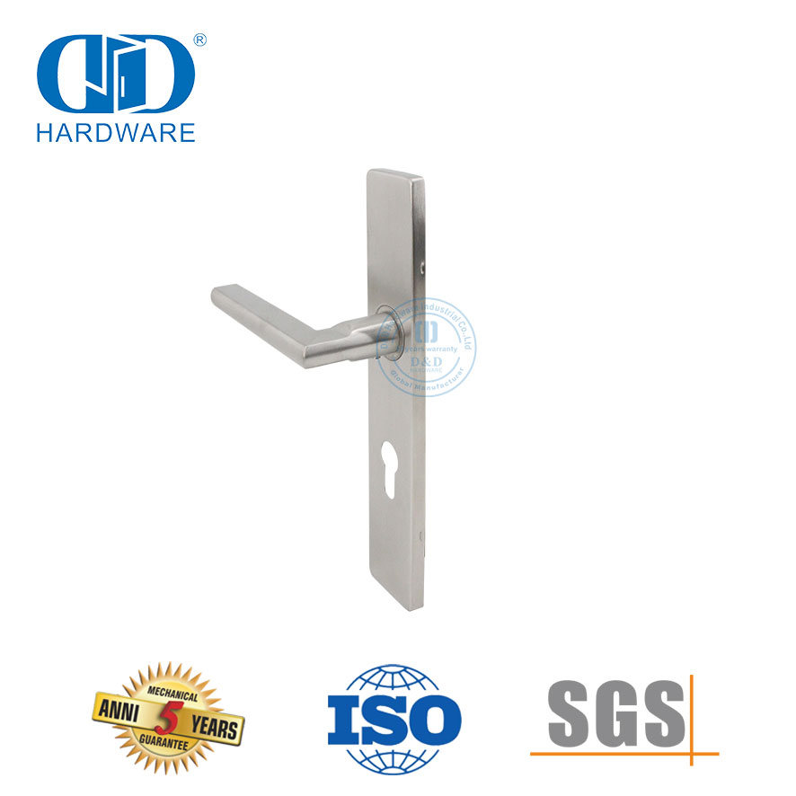 Manija de puerta de lujo ligera Cerradura de panel Manija de puerta de entrada de casa-DDTP007