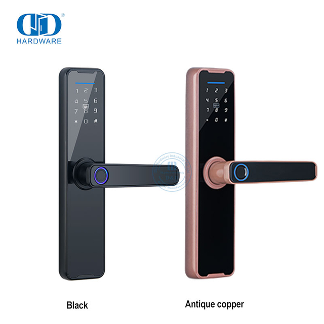 Puerta digital antirrobo con cerradura eléctrica Inteligente sin llave con huella dactilar-DDDL005