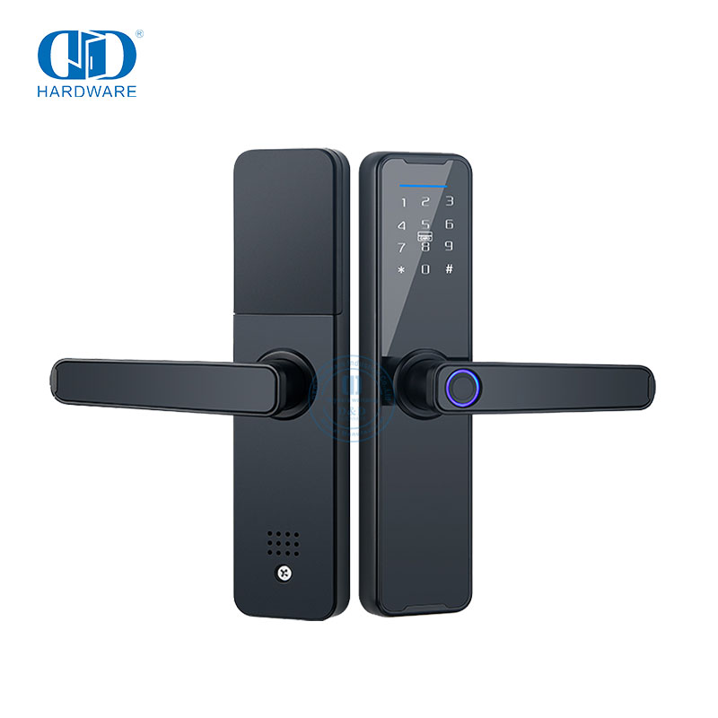 Puerta digital antirrobo con cerradura eléctrica Inteligente sin llave con huella dactilar-DDDL005