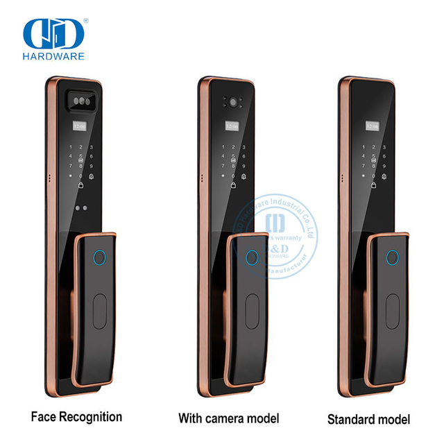 Captura remota Wifi de lujo con cerradura de puerta inteligente con huella digital y llave de cámara-DDEL011