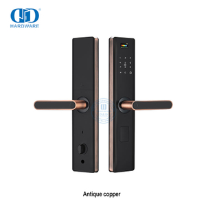Cerradura de puerta automática con manija de teclado digital sin llave para puerta principal-DDDL003