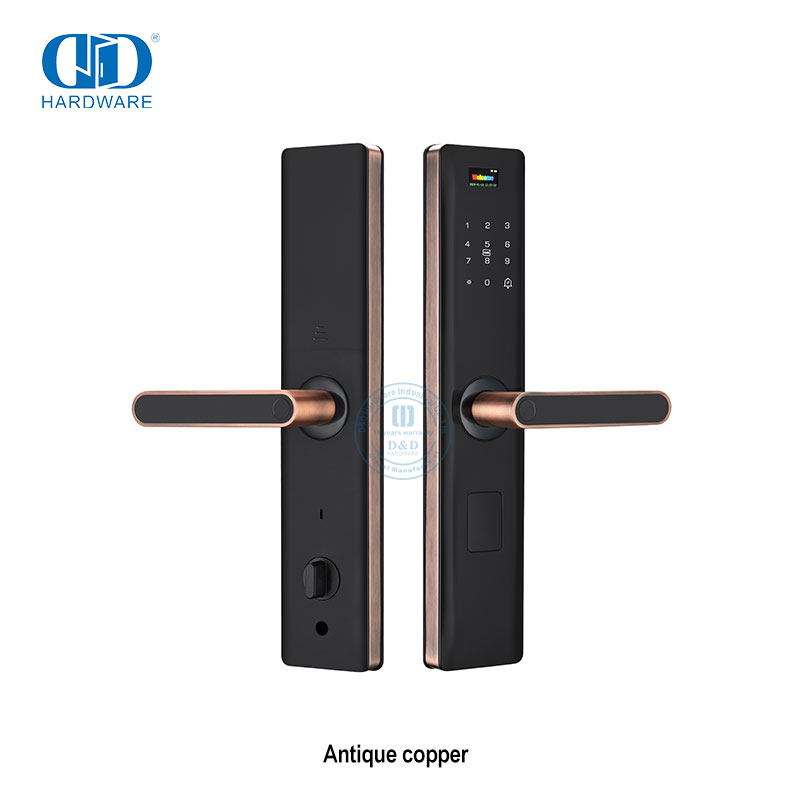 Cerradura de puerta automática con manija de teclado digital sin llave para puerta principal-DDDL003