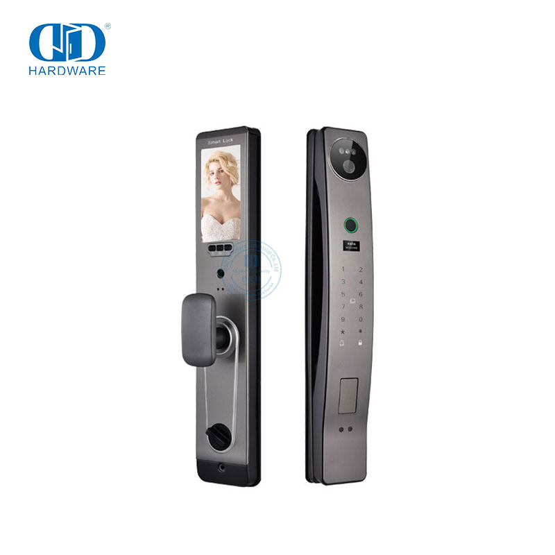 Cerradura inteligente de huellas dactilares para exteriores, cámara de reconocimiento facial con huella dactilar, cerradura de puerta-DDEL021