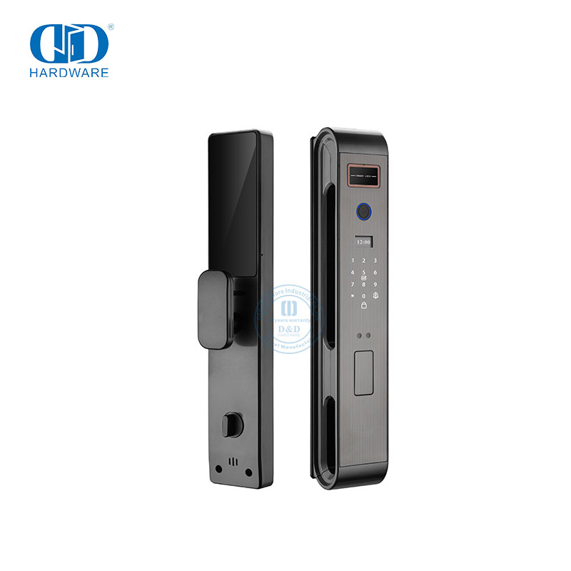 Cerradura de puerta inteligente de cara digital con huella digital y cámara inteligente de seguridad electrónica avanzada -DDEL002