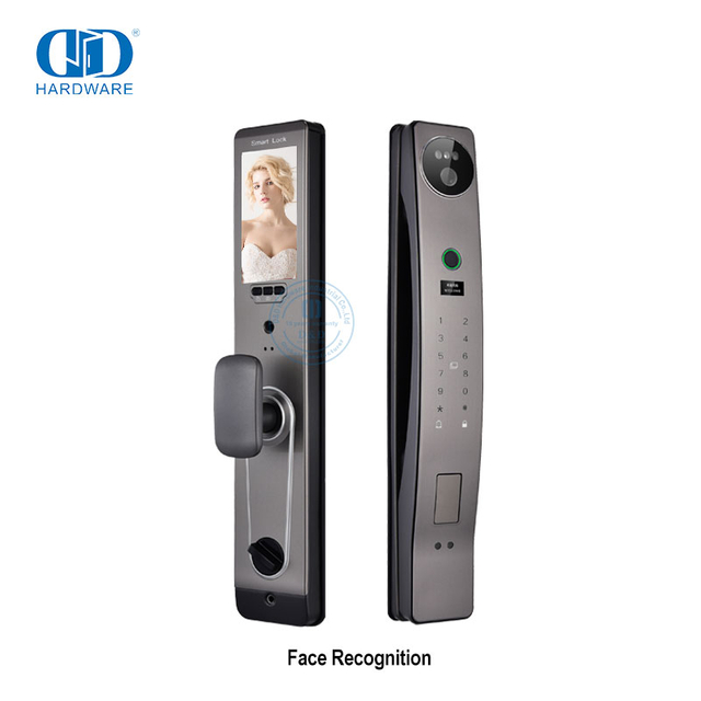 Cerradura inteligente de huellas dactilares para exteriores, cámara de reconocimiento facial con huella dactilar, cerradura de puerta-DDEL021