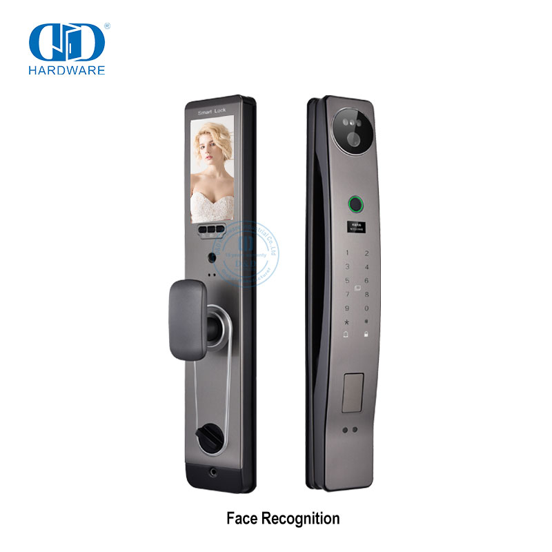 Cerradura inteligente de huellas dactilares para exteriores, cámara de reconocimiento facial con huella dactilar, cerradura de puerta-DDEL021