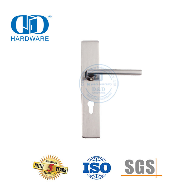 Manija de puerta de lujo ligera Cerradura de panel Manija de puerta de entrada de casa-DDTP007